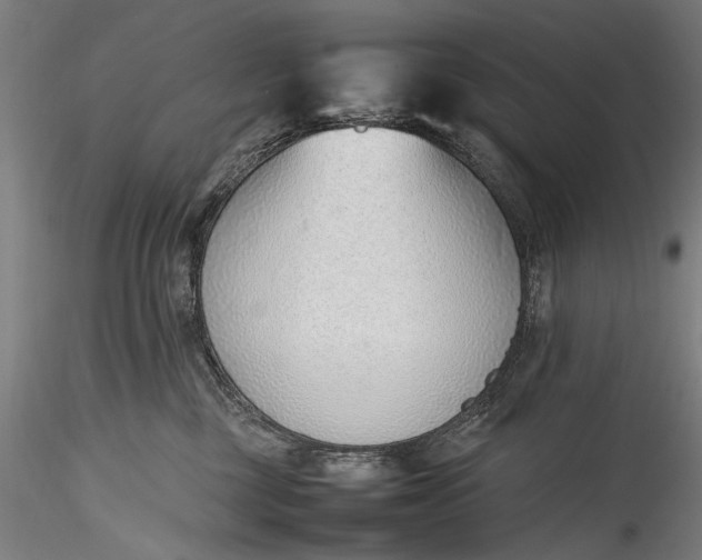 X0000115760377200911271122