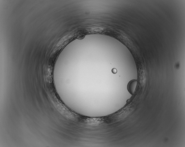 X0000115760378200911271122