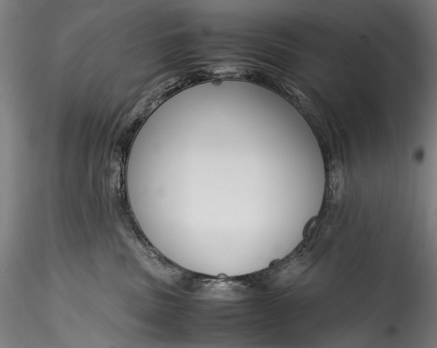 X0000115760379200911271122