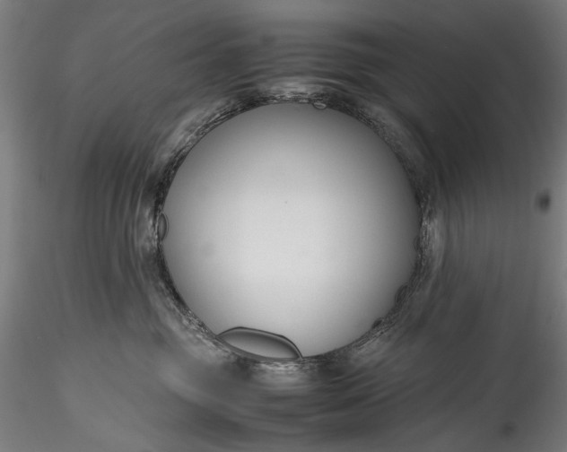 X0000115760381200911271122