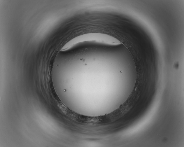 X0000115760382200911271122