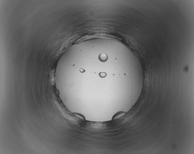 X0000115760383200911271122