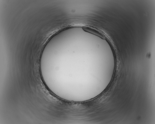 X0000115760385200911271121