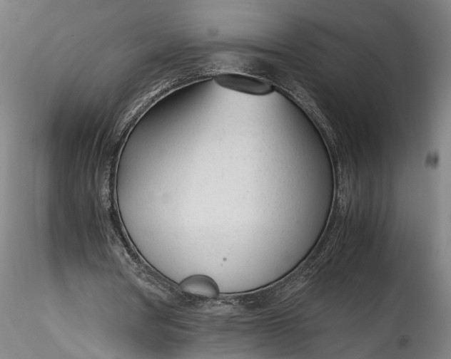 X0000115760386200911271121