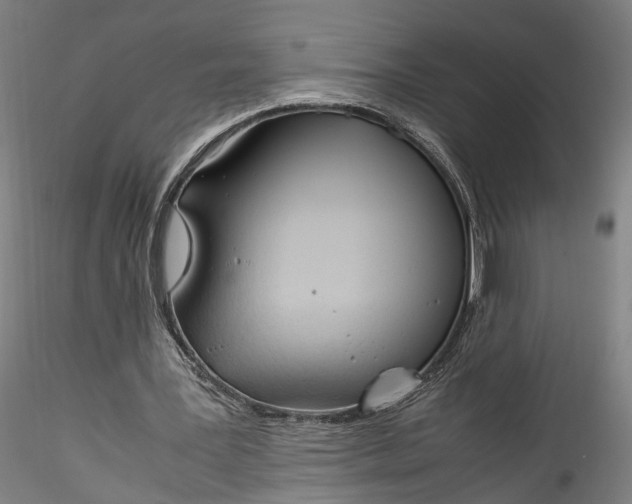 X0000115760387200911271121