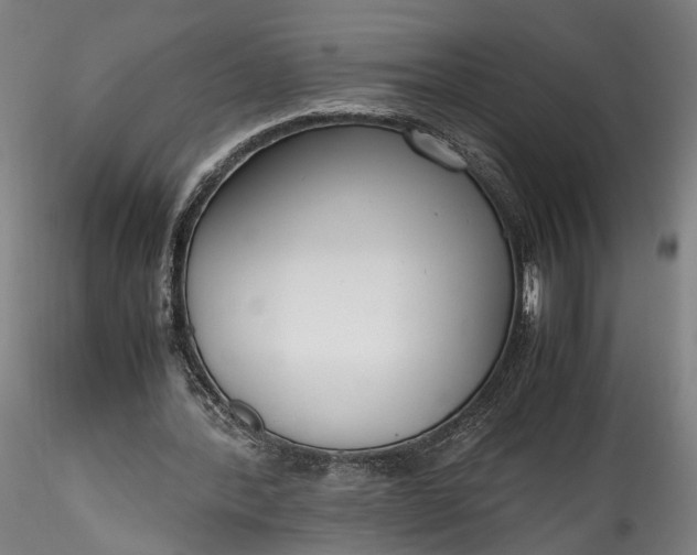 X0000115760388200911271121