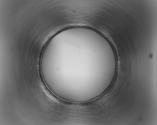 X0000115760389200911271121