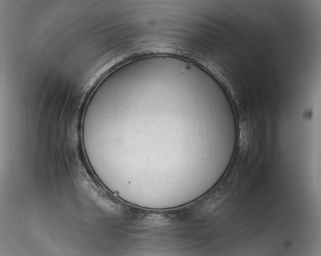 X0000115760390200911271121