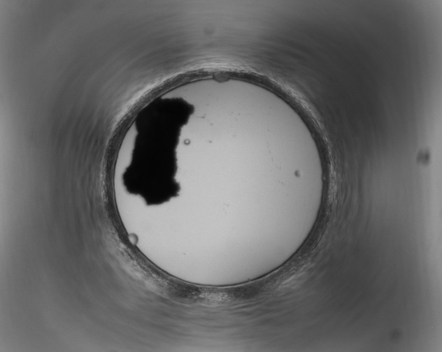 X0000115760391200911271121