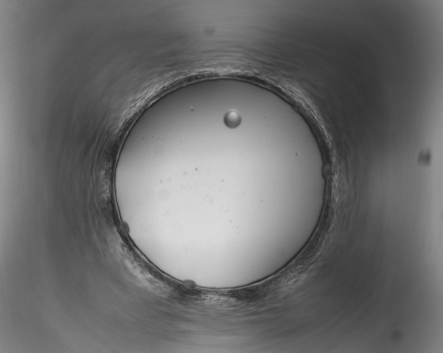 X0000115760393200911271121