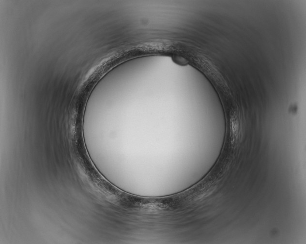 X0000115760396200911271121