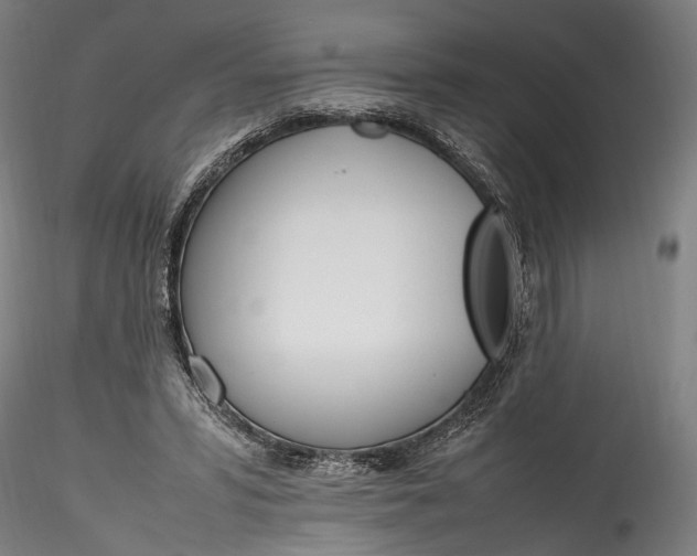 X0000115760399200911271121