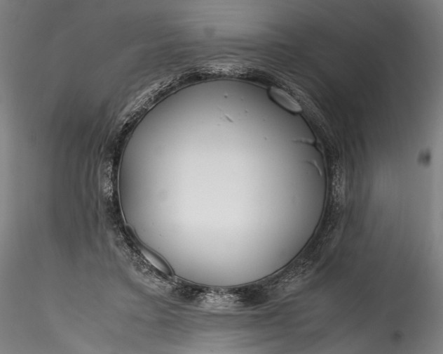 X0000115760403200911271121