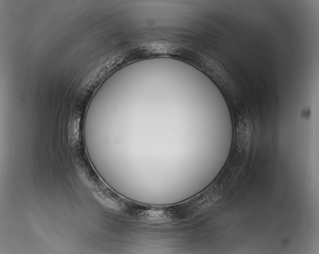 X0000115760406200911271121