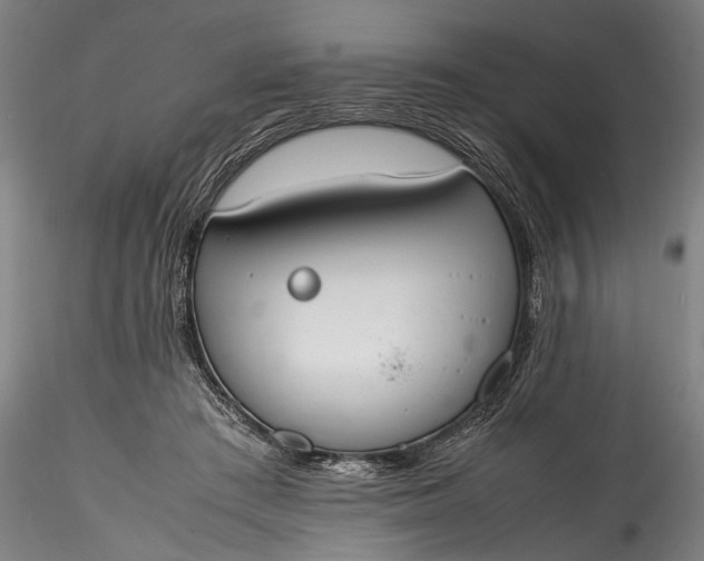 X0000115760409200911271121