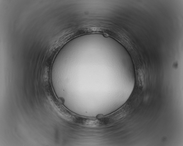 X0000115760410200911271121