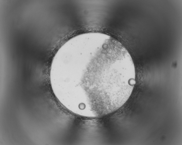 X0000115760411200911271121