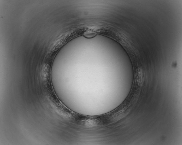 X0000115760412200911271121