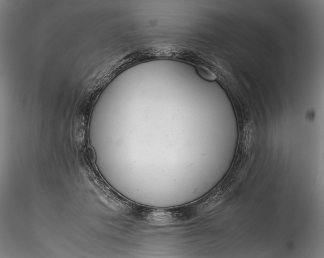 X0000115760413200911271121