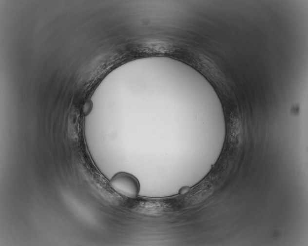 X0000115760414200911271121