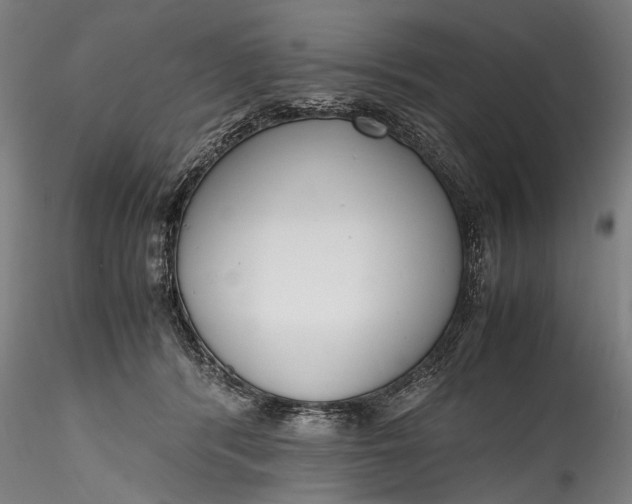 X0000115760416200911271121