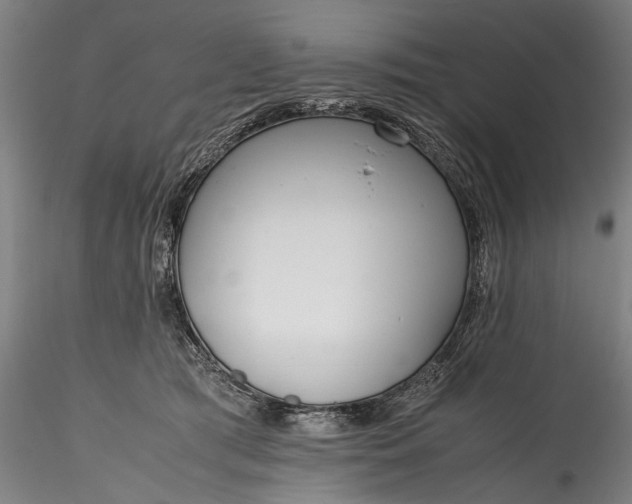 X0000115760417200911271121