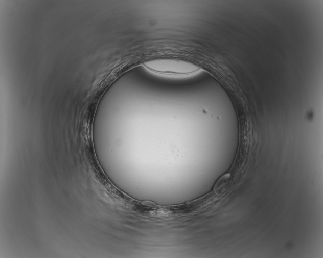 X0000115760419200911271121