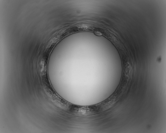 X0000115760420200911271121