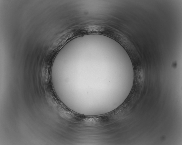 X0000115760422200911271121