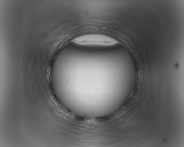 X0000115760423200911271121