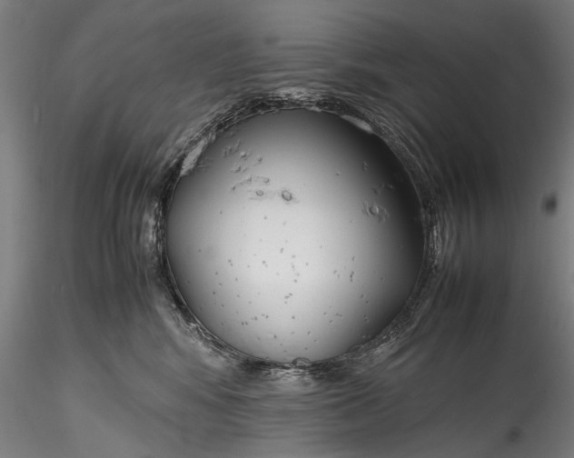 X0000115760424200911271121