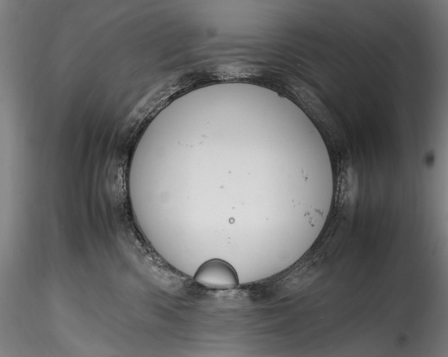 X0000115760426200911271121