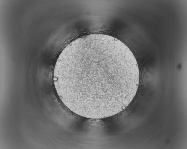 X0000115760427200911271121