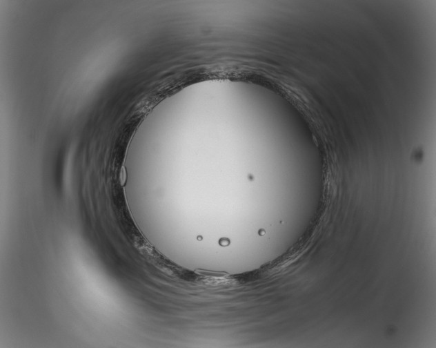 X0000115760429200911271121