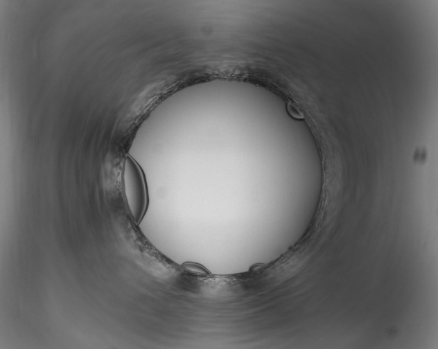 X0000115760432200911271121