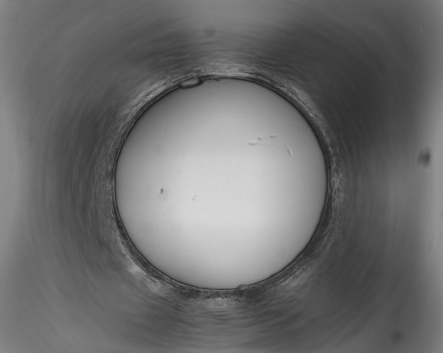 X0000115760433200911271120