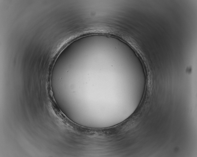 X0000115760434200911271120