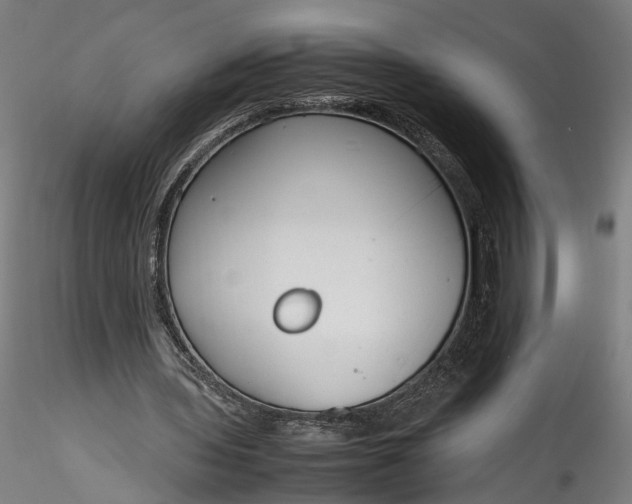 X0000115760435200911271120