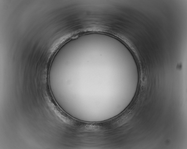 X0000115760437200911271120