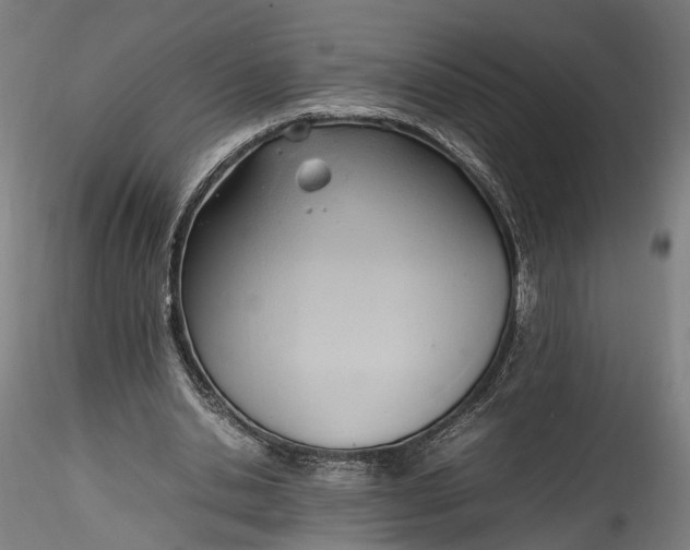 X0000115760438200911271120