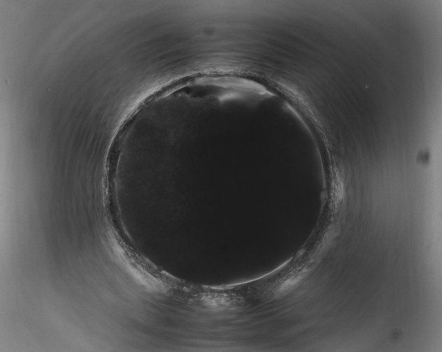 X0000115760439200911271120