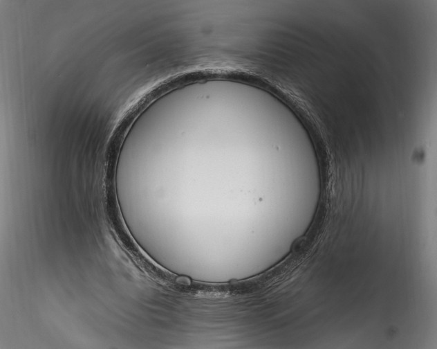 X0000115760440200911271120