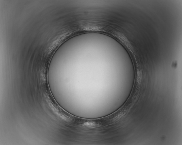 X0000115760441200911271120