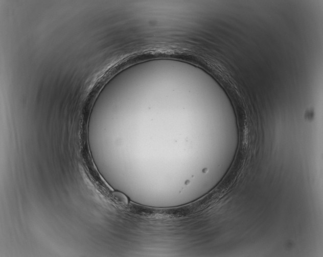 X0000115760444200911271120