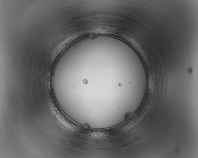 X0000115760445200911271120