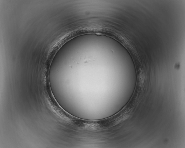 X0000115760446200911271120