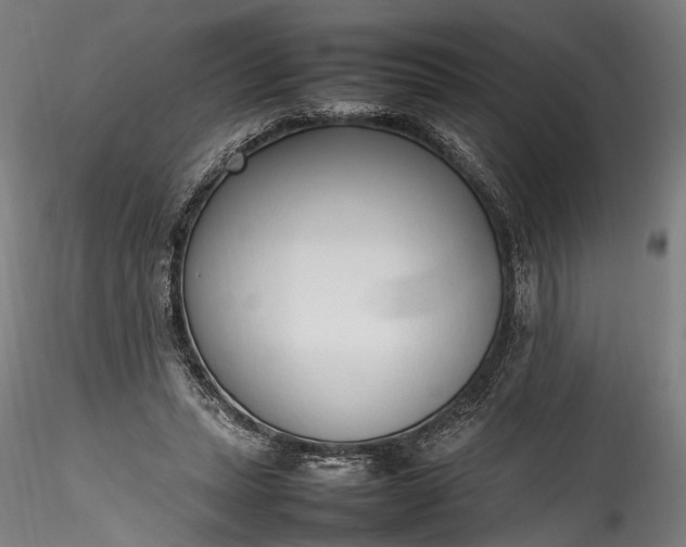 X0000115760447200911271120