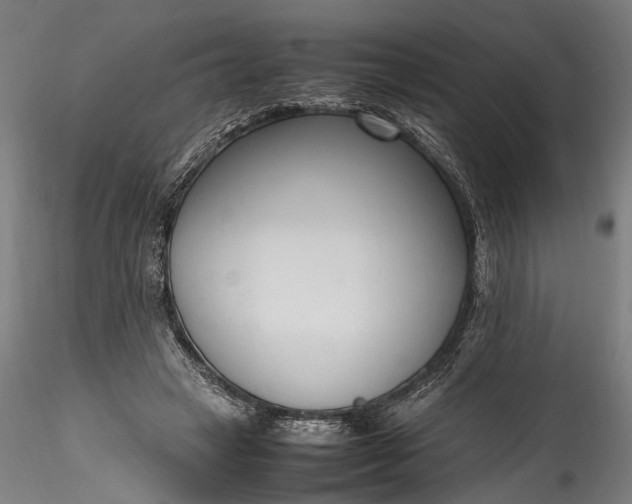 X0000115760449200911271120