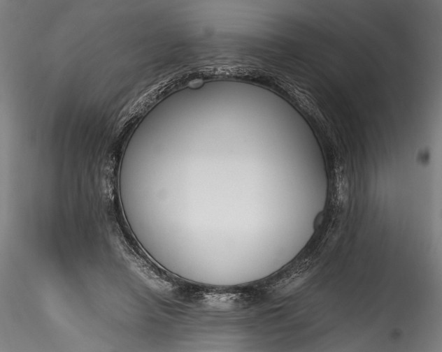 X0000115760450200911271120