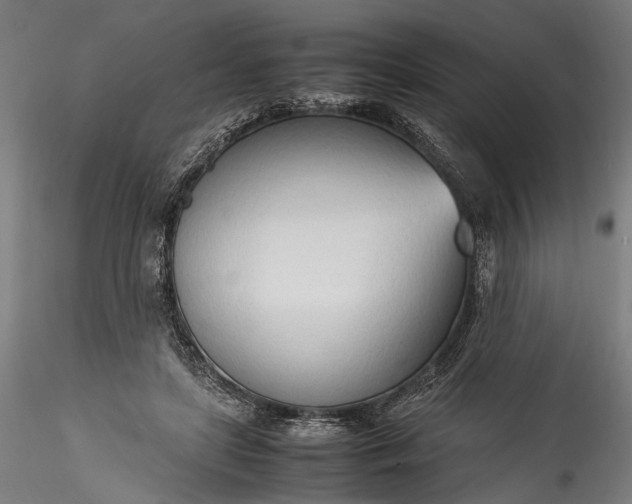 X0000115760451200911271120